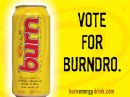 Burn: Vote for Burndro