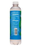 Sparkling ICE Essence of Water: SparklingIce-17oz-MysterFlavor19-ZeroSugar-Facts