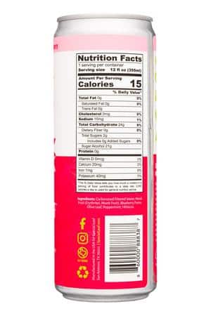 Special Leaf: SpecialLeaf-12oz-2023-OliveIcedTea-HibiscusBlueb-Facts