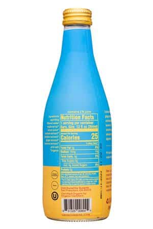 Sunwink: Sunwink-12oz-2023-SparklingTonic-DetoxGinger-Facts