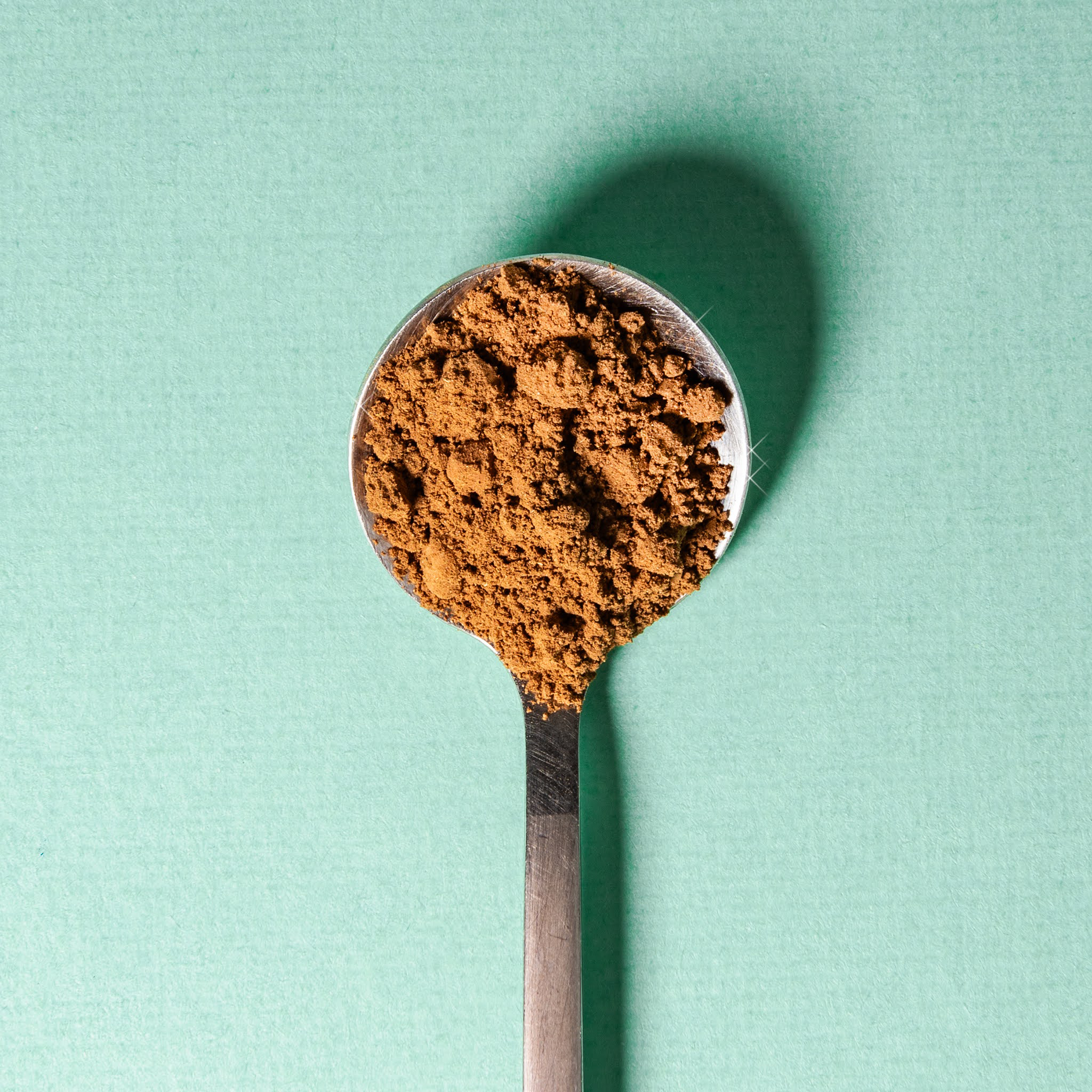 Super Fun!: Photo of Chocolate Mint - Super Fun! (uploaded by company)