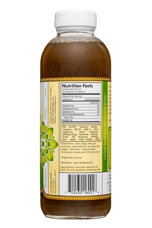 GT's Kombucha: GTs-Alive-16oz-MateMint-Facts