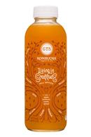 GT's Kombucha: GTs-16oz-Kombucha-LivingInGratitude-Fall2018-Front