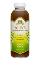 GT's Kombucha: GTs-Alive-16oz-MateMint-Front