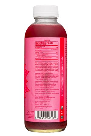 GT's Kombucha: GTs-16oz-2022-Synergy-PureLove-Facts