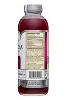 GT's Kombucha: GTs-Kombucha-16oz-HeartBeet-Facts