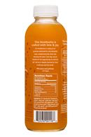 GT's Kombucha: GTs-16oz-Kombucha-LivingInGratitude-Fall2018-Facts