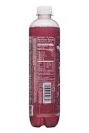 Sparkling Ice -Talking Rain: SparklingIce-17oz-FlavoredSparkling-0Sugar-GrapeRasp-Facts