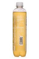 Sparkling Ice -Talking Rain: SparklingIce-17oz-GingerLime-Facts