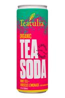 Teatulia: Teatulia-12oz-TeaSoda-MintHibiscus-Front