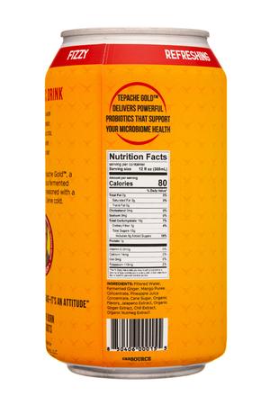 Tepache Gold: TepacheGold-12oz-2022-Biotic-SpicyMango-Facts