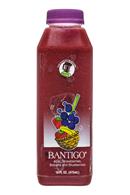 The Dancing Blender: Bantigo-16oz-AcaiStrawberriesBananaBlueb-Front