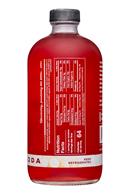 TheWaterKefirPeople-16oz-HibiscusRoseHip-Facts