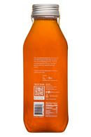 Treecup Tea: TreeCup-16oz-2020-Tea-GinsyinYang-Facts