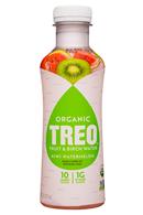 Treo Organic Birch Water Infusion: Treo-16oz-2019-FruitBirchWater-KiwiWatermelon-Front
