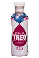 Treo Organic Birch Water Infusion: Treo-16oz-2019-FruitBirchWater-Blueb-Front