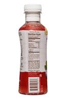 Treo Organic Birch Water Infusion: Treo-BirchWater-16oz-Blueb-Facts
