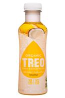 Treo Organic Birch Water Infusion: Treo-16oz-2019-FruitBirchWater-CoconutPineapple-Front