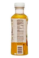 Treo Organic Birch Water Infusion: Treo-BirchWater-16oz-CoconutPineapple-Facts