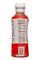 Treo Organic Birch Water Infusion: Treo-BirchWater-16oz-Strawberry-Facts