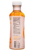 Treo Organic Birch Water Infusion: Treo-16oz-2019-FruitBirchWater-OrangeApricot-Facts