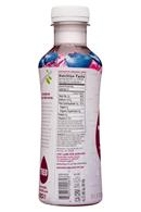 Treo Organic Birch Water Infusion: Treo-16oz-2019-FruitBirchWater-Bueb-Facts
