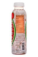 Tsamma Watermelon Juice: Tsamma-12oz-CoconutWaterBlend-Facts