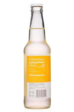 V2O: V2O-12oz-2020-SparklingBalsamic-SicilianLemon-Facts