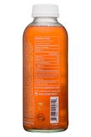 Valley Isle Kombucha: ValleyIsle-16oz-Kombucha-LavaFlow-Facts