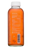 Valley Isle Kombucha: ValleyIsle-16oz-Kombucha-IslandWatermelon-Facts