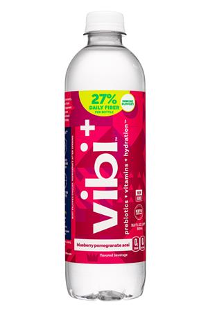 vibi +: Vibi-17oz-2022-BluebPom-Front