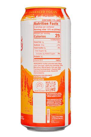 Vida Mate: VidaMate-16oz-2022-YerbaMate-MangoLime-Facts