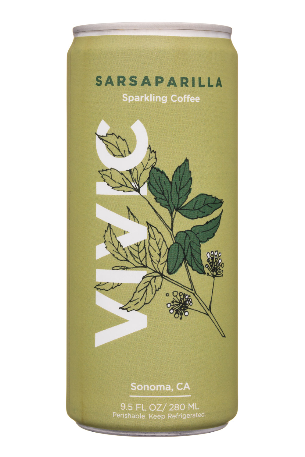 Sarsaparilla