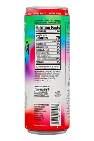 Wild Era Energy Tea Co.: WildEra-12oz-2025-SparklingTea-BerryBlast-Facts