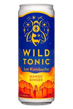 Wild Tonic: WildTonic-12oz-2022-JunKombucha-MangoGinger-Front