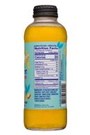 Wildwonder: WildWonder-14oz-2020-SparklingInfusion-MangoTurmeric-Facts