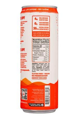 Wize Tea: Wise-12oz-2023-SparkIcedTea-Apple-Facts