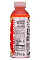 WTRMLN Sport WTR: SportWTR-16oz-Hydration19-SunDrenchedCitrus-Facts