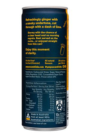 Yes You Can: YesYouCanDrinks-250ml-2022-AlcFree-DarkStormy-Facts